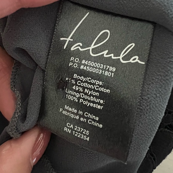 Aritzia Talula lace tank - Picture 4 of 5